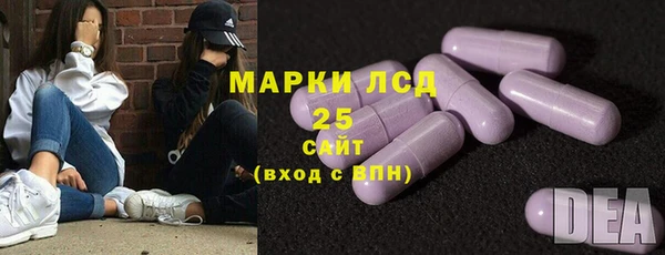 индика Костерёво