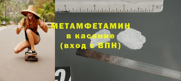 индика Костерёво