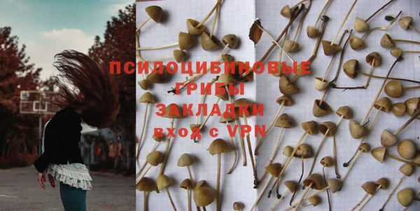 ГАЛЛЮЦИНОГЕННЫЕ ГРИБЫ Навашино