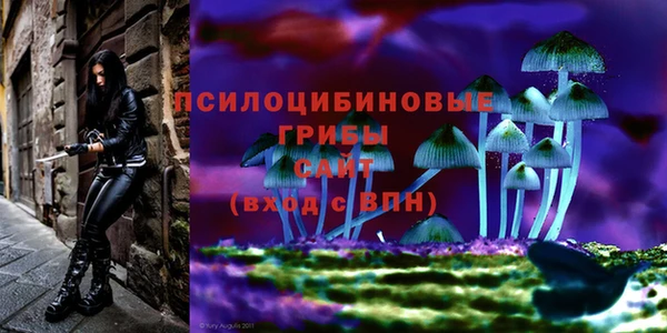 трава Коряжма