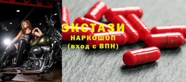 индика Костерёво