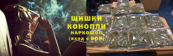 индика Костерёво
