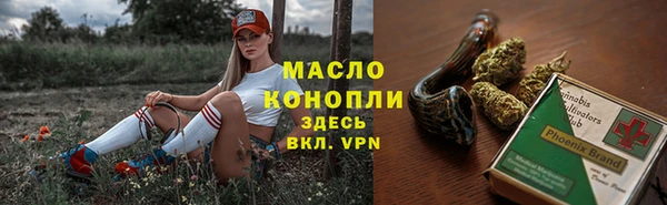 соль ск Кукмор