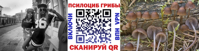 где купить наркоту  Урень  Псилоцибиновые грибы ЛСД 